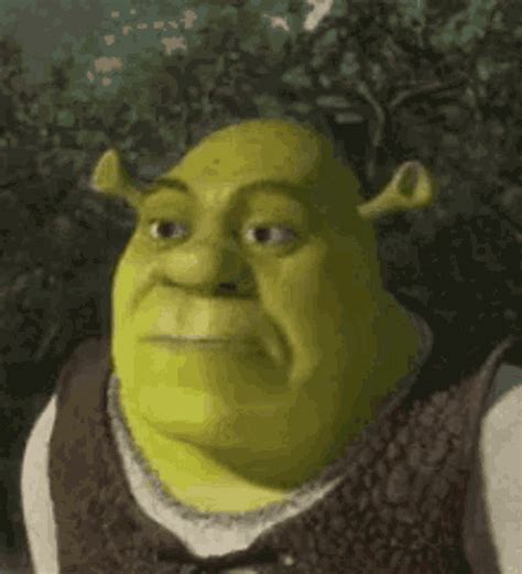 Discover and Share the best GIFs on Tenor. . Shrek gifs